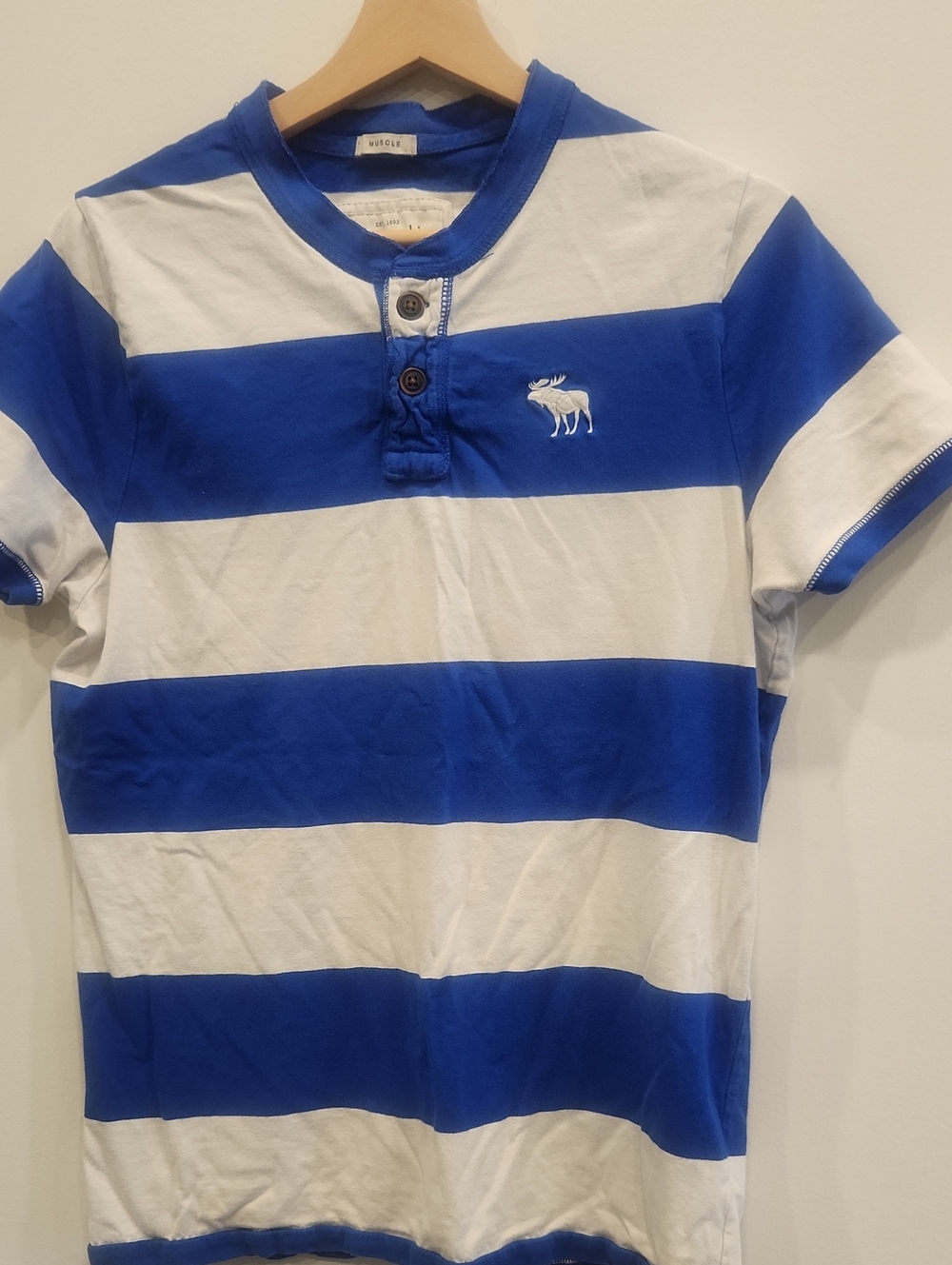 abercrombie kids Blue and White Striped Henley Polo